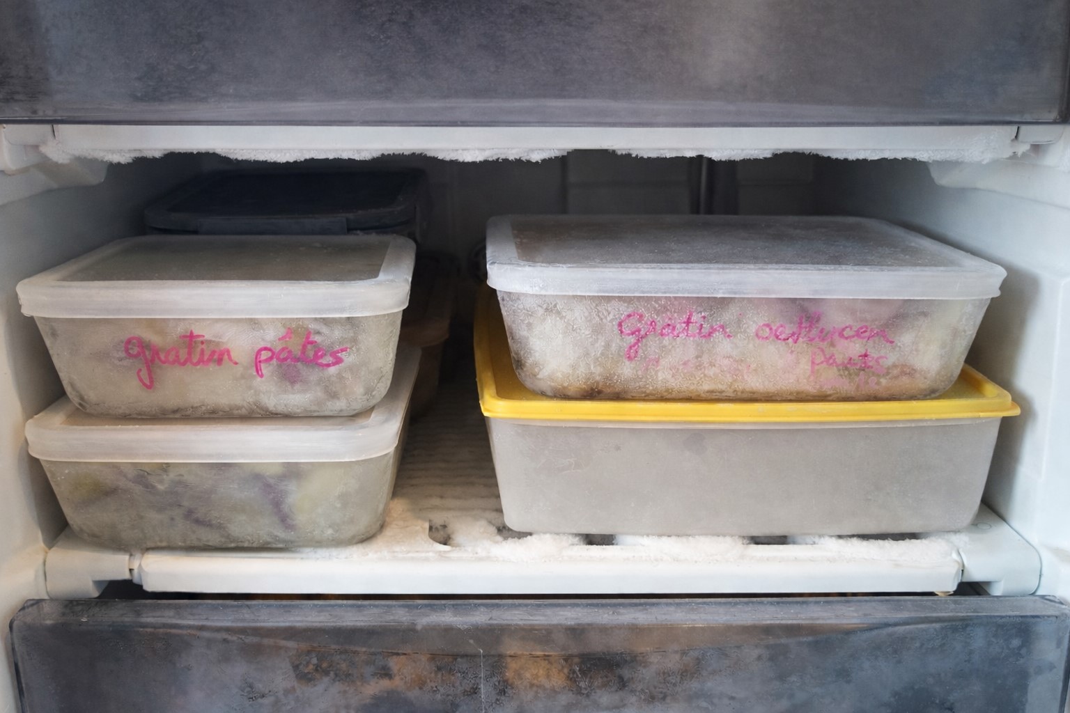 plats maison prêts à être congelés dans un congélateur