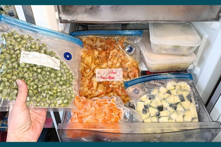 organisation des repas quand on travaille avec le stock au congélateur