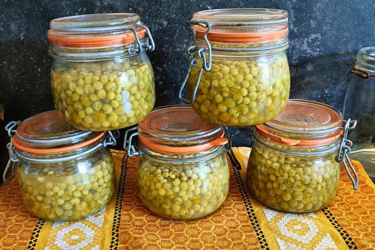 Bocaux de petits pois frais stérilisés à l'autoclave prêts pour une longue conservation