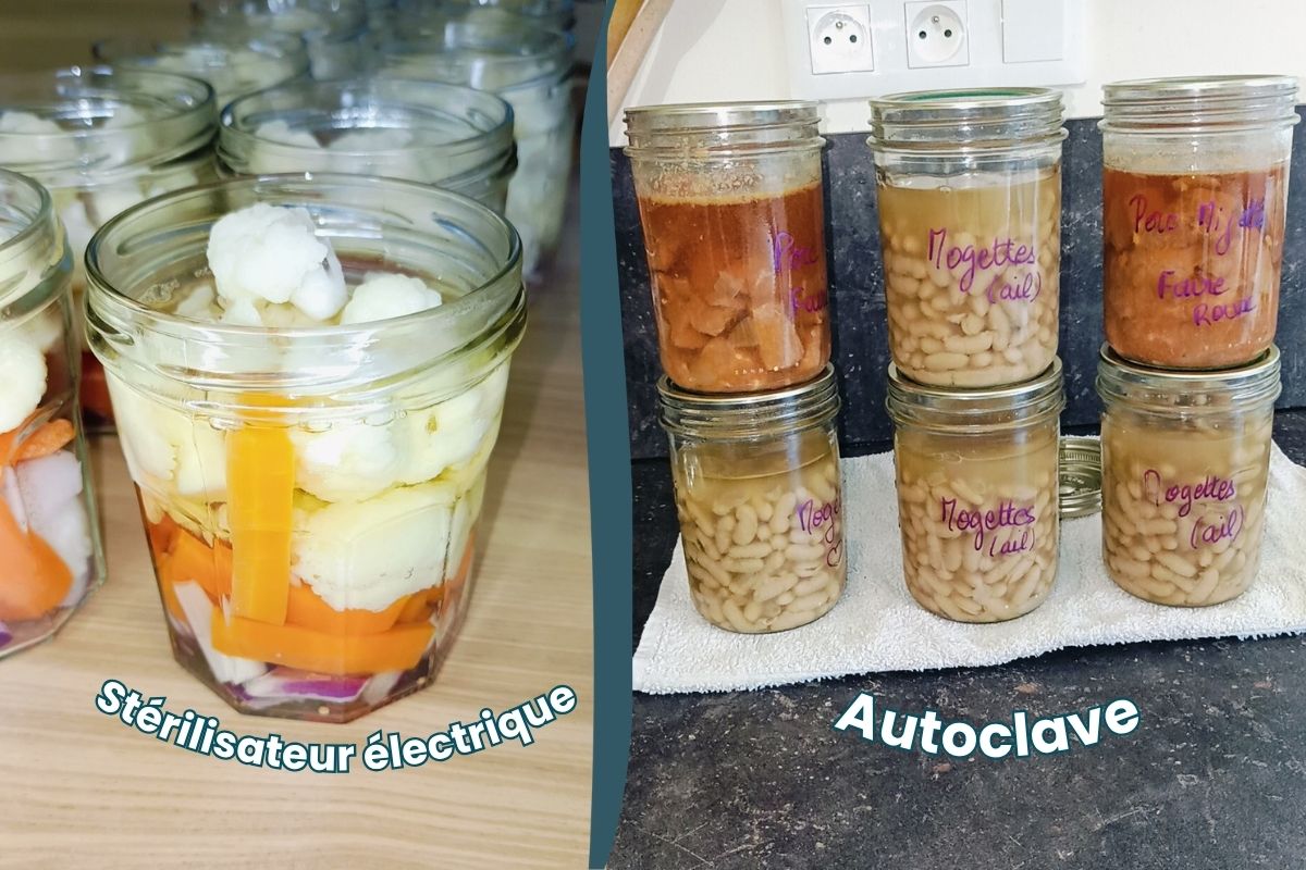 Comparaison entre un bocal de pickles stérilisé au bain-marie et des bocaux de mogettes stérilisés à l'autoclave.