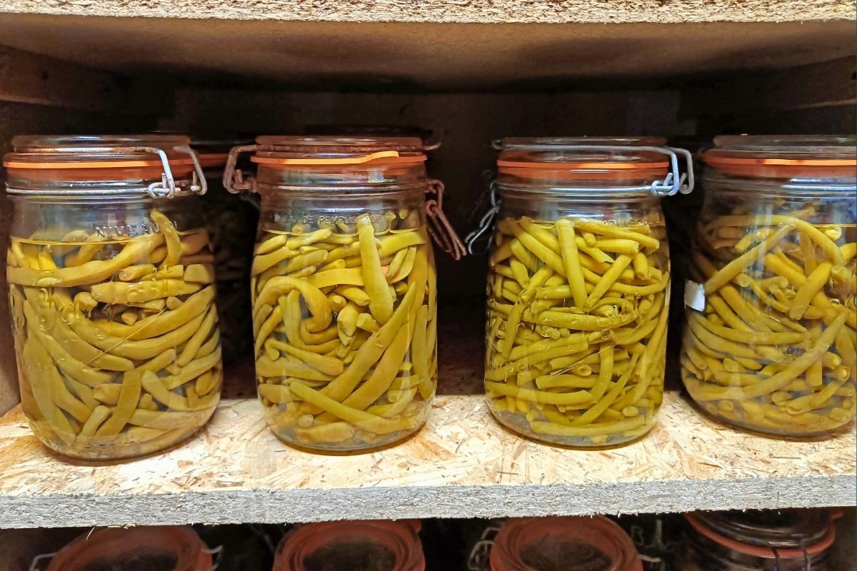 Haricots verts en bocaux à l’autoclave : la méthode simple pour les conserver