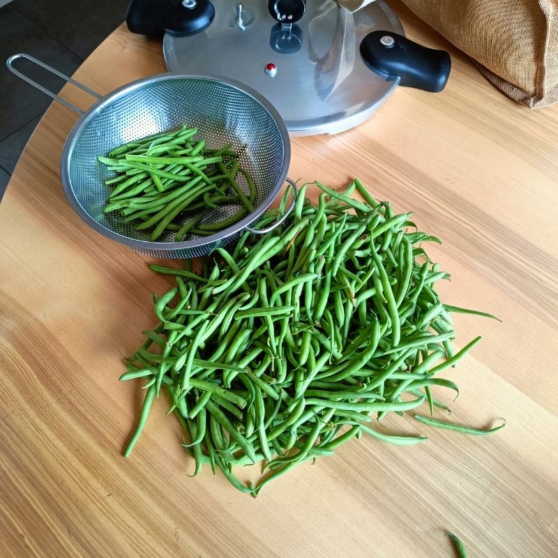 Haricots verts en bocaux à l’autoclave : une réserve maison toujours prête